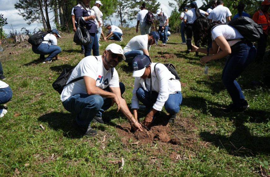 Colaboradores SNS participan en séptima jornada reforestación en Jarabacoa